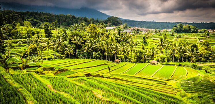jak cestovat na Bali